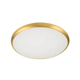 גוף צמוד תקרה מעוצב דגם רינג פליז