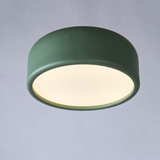 צמוד תקרה מעוצב דגם ריף ירוק