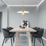 גוף תליה מעוצב דגם אייל