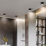 גוף צמוד תקרה מעוצב צילינדר דגם הוד שחור