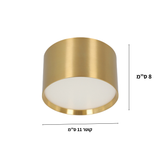 גוף צמוד תקרה מעוצב צילינדר דגם הוד פליז