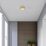 גוף צמוד תקרה מעוצב צילינדר דגם הוד פליז