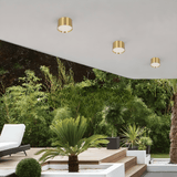 גוף צמוד תקרה מעוצב צילינדר דגם הוד פליז