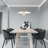 גוף תליה מעוצב דגם אייל