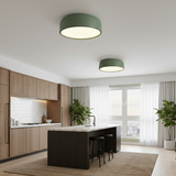 צמוד תקרה מעוצב דגם ריף ירוק