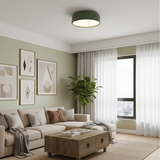 צמוד תקרה מעוצב דגם ריף ירוק