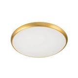 גוף צמוד תקרה מעוצב דגם רינג פליז