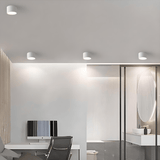 גוף צמוד תקרה מעוצב צילינדר דגם הוד לבן