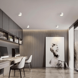 גוף צמוד תקרה מעוצב צילינדר דגם הוד לבן